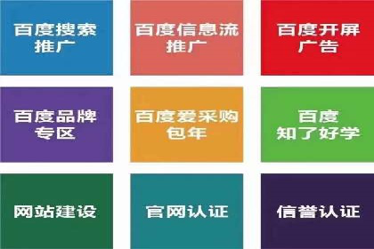 行业领先企业的sem竞价策略：成功案例剖析